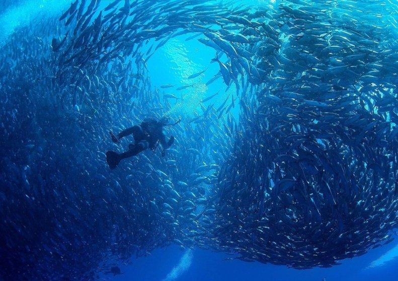 我国科学家实现“量子计算优越性”，原型机为何命名九章？